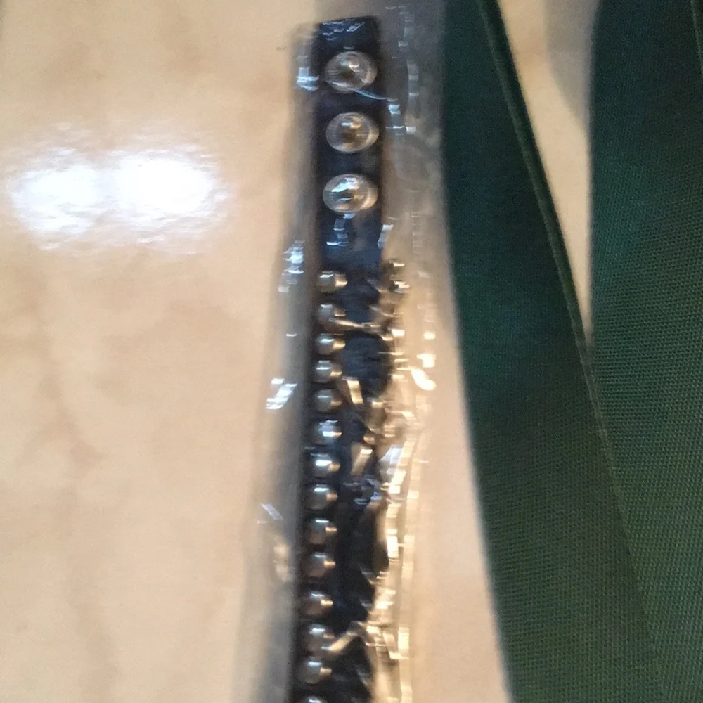 NWT Pet Collar and Leash